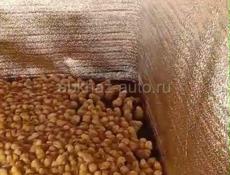 Продаються цыплята все по телефону +79409230000