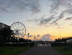 Официант мармидчик 