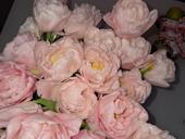 Повар европейской кухни+ Фаст фуд 