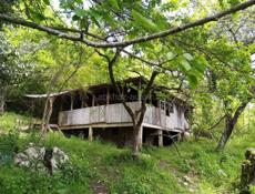 Участок в Новом Афоне