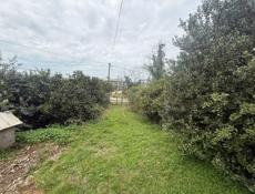 Срочно ❗❗❗