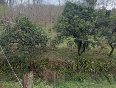 Срочно ❗❗❗