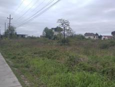 цандрипш продается земельный участок