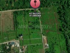 6 соток Мачара