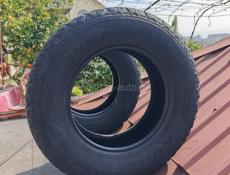 Покрышки на авто