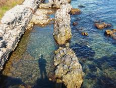 Продаёться белое вино