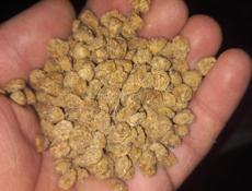 Корм для форели