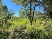 Срочная продажа земли 6 соток 