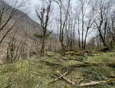 Продается участок по дороге на Рицу