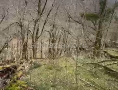 Продается участок по дороге на Рицу