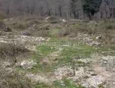 Продается участок по дороге на Рицу