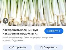 Лук зеленный