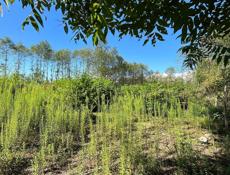 Срочная продажа земли 6 соток 