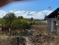 Участок 50 соток