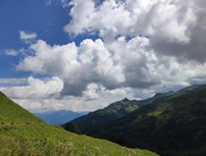 Куплю серебро