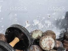 Гантели 💪 кому не нужны, могу забрать 