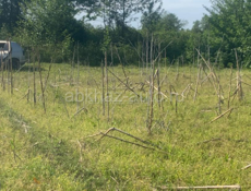 Сдам поле в аренду