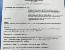 Помощь собаке 🙏