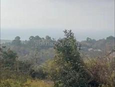 1 га с видом на море , Гагра 