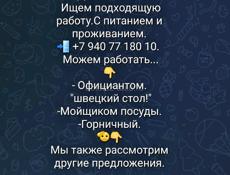 2  ДОМОХОЗЯЙКИ.