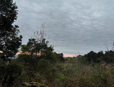 57соток ДО МОРЯ 250 м