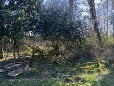 Участок Киндги горячий источник 