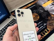 iPhone 12 Pro Max 256 🔋100%