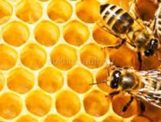 Высший сорт 