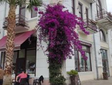 Сдается на 2 года 3 к.кв ,ул.Джонуа,цена 50 т.р в месяц