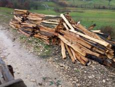 Продажа колышки акация