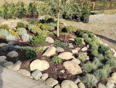 ЛАНДШАФТНЫЙ ДИЗАЙН ПОД КЛЮЧ. ГАРАНТИЯ