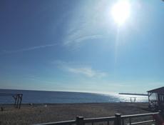 Требуются сотрудники