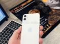 IPHONE 11 64 g 🔋100%