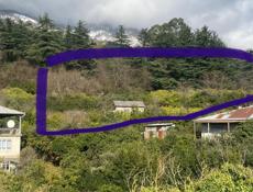 Участок Гагра сабинар 50 соток 