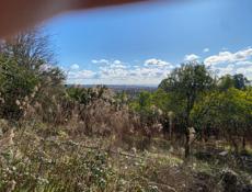 Участок Гагра сабинар 50 соток 