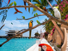 Ищу любую работу. Ватсап 