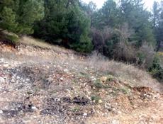 Продажа или обмен участка 