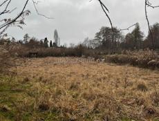 ПРОДАЮ УЧАСТОК В ГУДАУТЕ