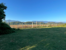 Сегодня - завтра , хороший торг 🔥‼️