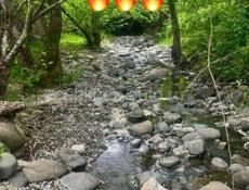 🔥Сухум 50 соток🔥