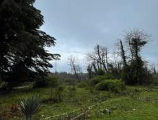 Срочно участок в Эшере