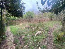 Участок город Гагра сабинар 