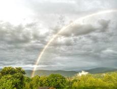 2-х этажный дом , мандариновый сад , фейхо и орех