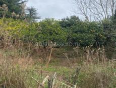 Гагра сабинар участок 15 соток