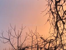 Ищу квартиру на длительный срок 