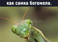 Audi 200 Avant