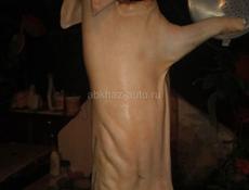 Готовые поросята 