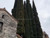 СНИМУ КВАРТИРУ 