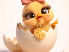 ЦЫПЛЯТА ЗАПИСЬ !!!