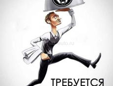 Требуется официанты! Круглый год!